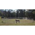 Panel de valla de ganado galvanizado de ganado